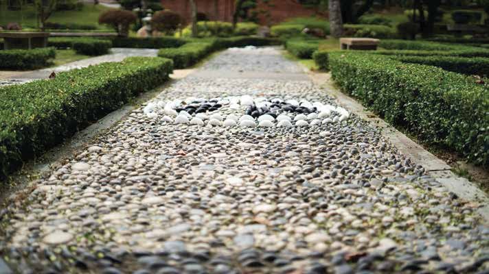 Reflexology Pathway