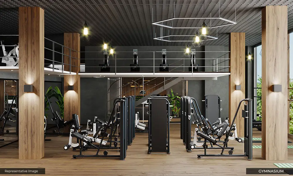 Fitness Isle